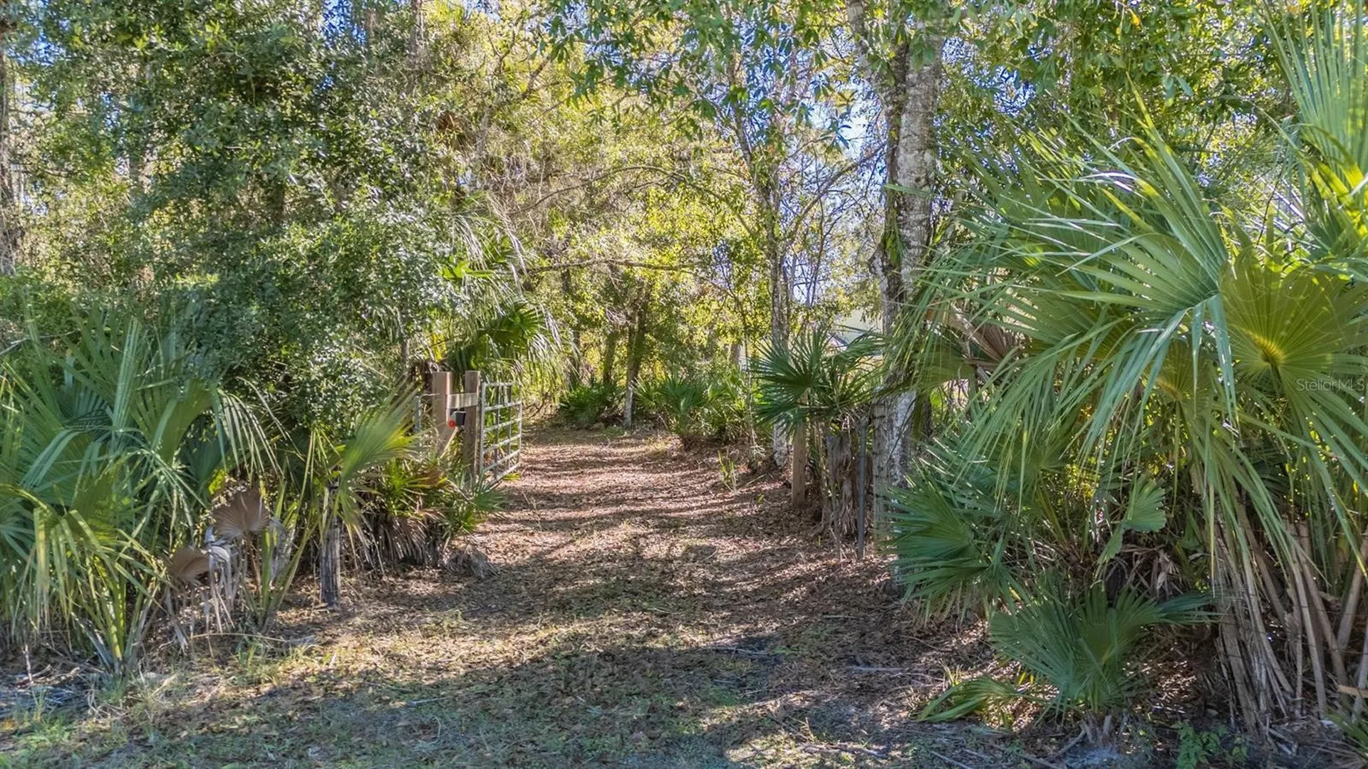 5504 Sun Up Road Land O Lakes FL 34638