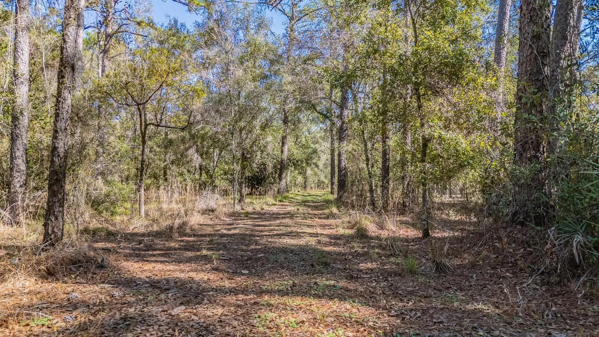 5504 Sun Up Road Land O Lakes FL 34638