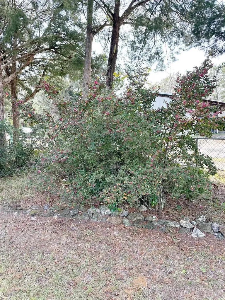 407 SE 4th Street Williston FL 32696