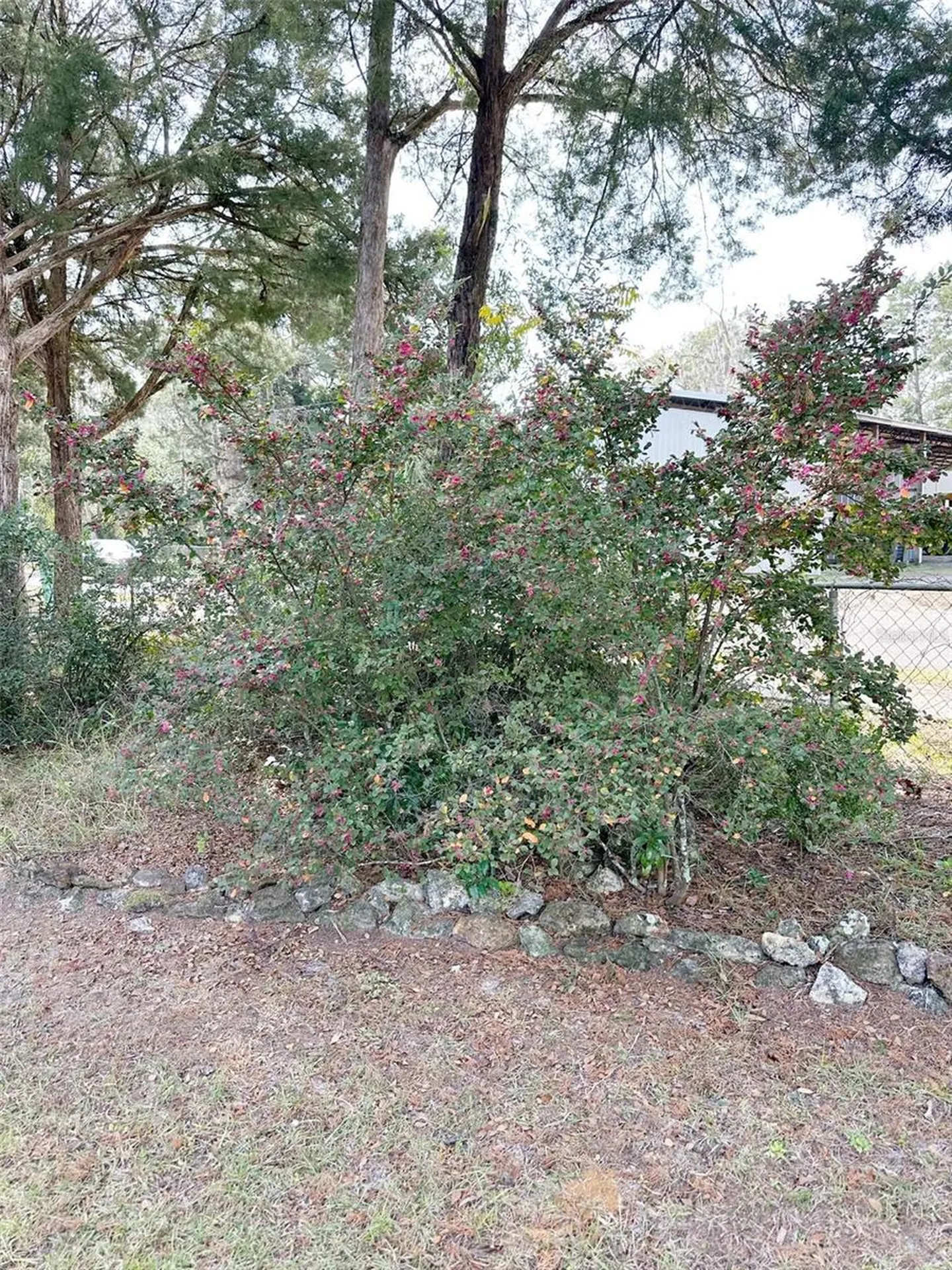 407 SE 4th Street Williston FL 32696