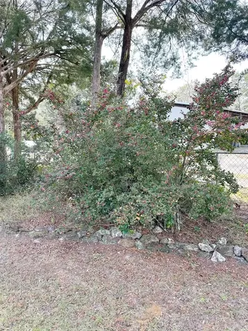 407 SE 4th Street Williston FL 32696