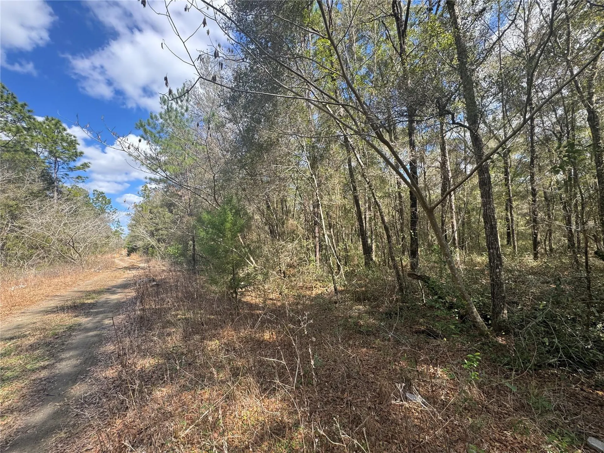 0000 NE 154th Avenue Williston FL 32696