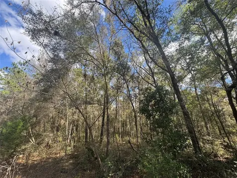 0000 NE 154th Avenue Williston FL 32696