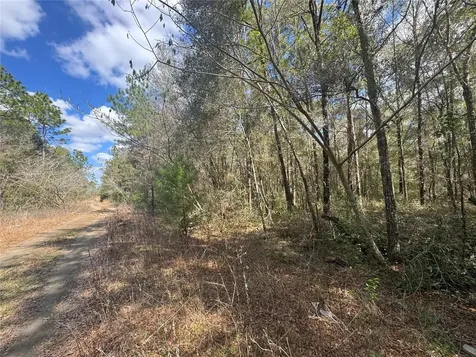 0000 NE 154th Avenue Williston FL 32696