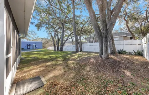 14506 University Point Place Tampa FL 33613
