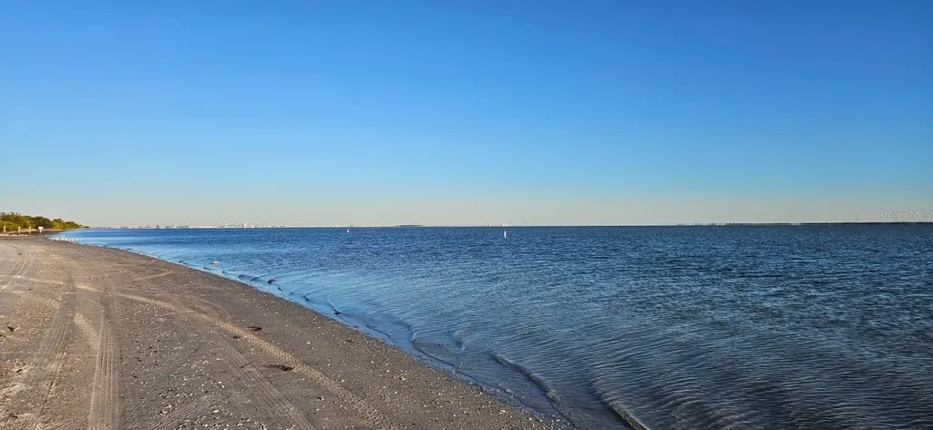310 Bayshore Boulevard Clearwater FL 33759