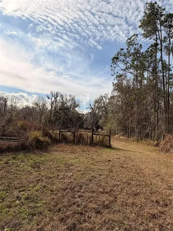 765 Sloans Ridge Road Groveland FL 34736