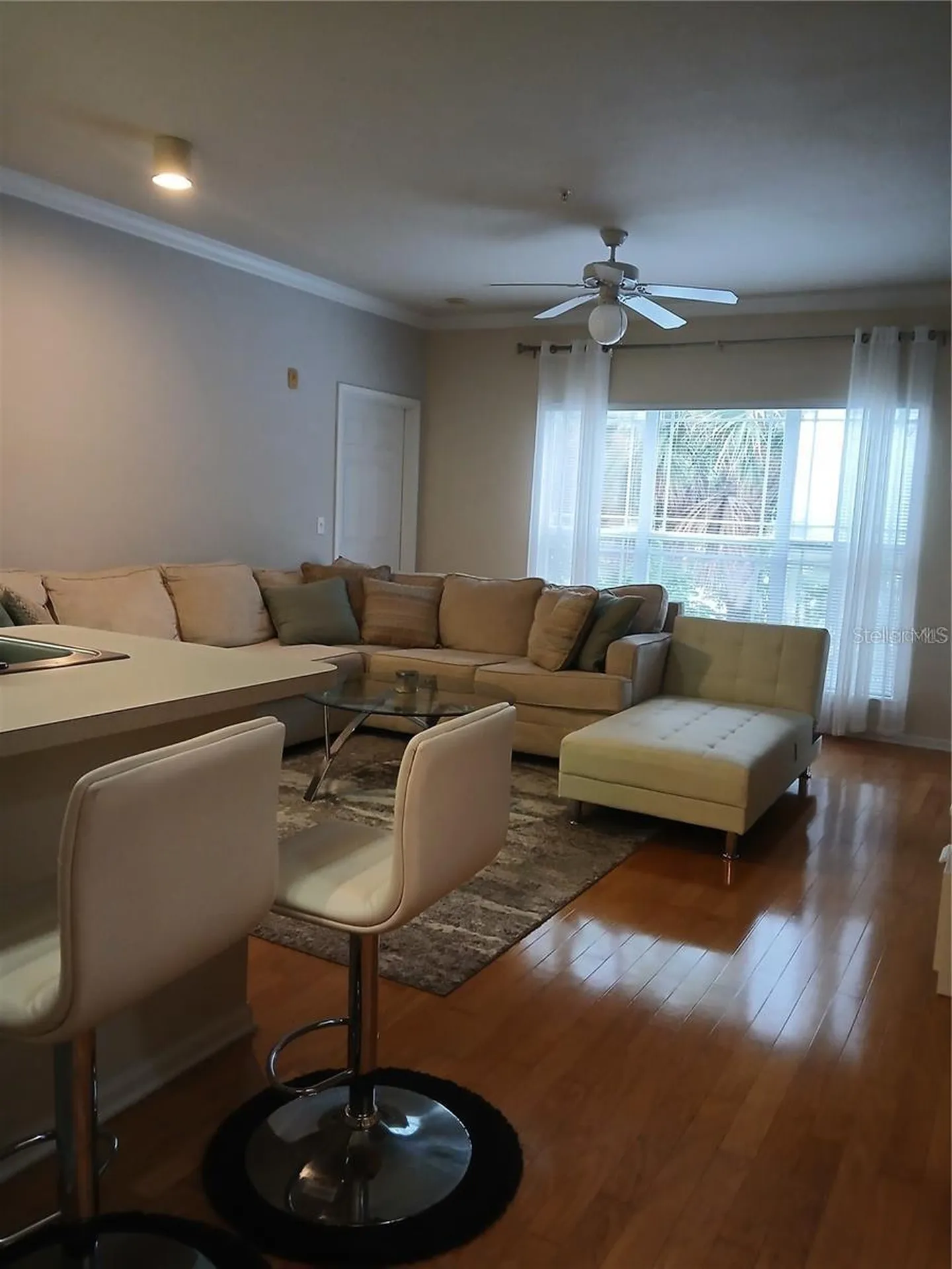 1216 S Missouri Avenue Clearwater FL 33756