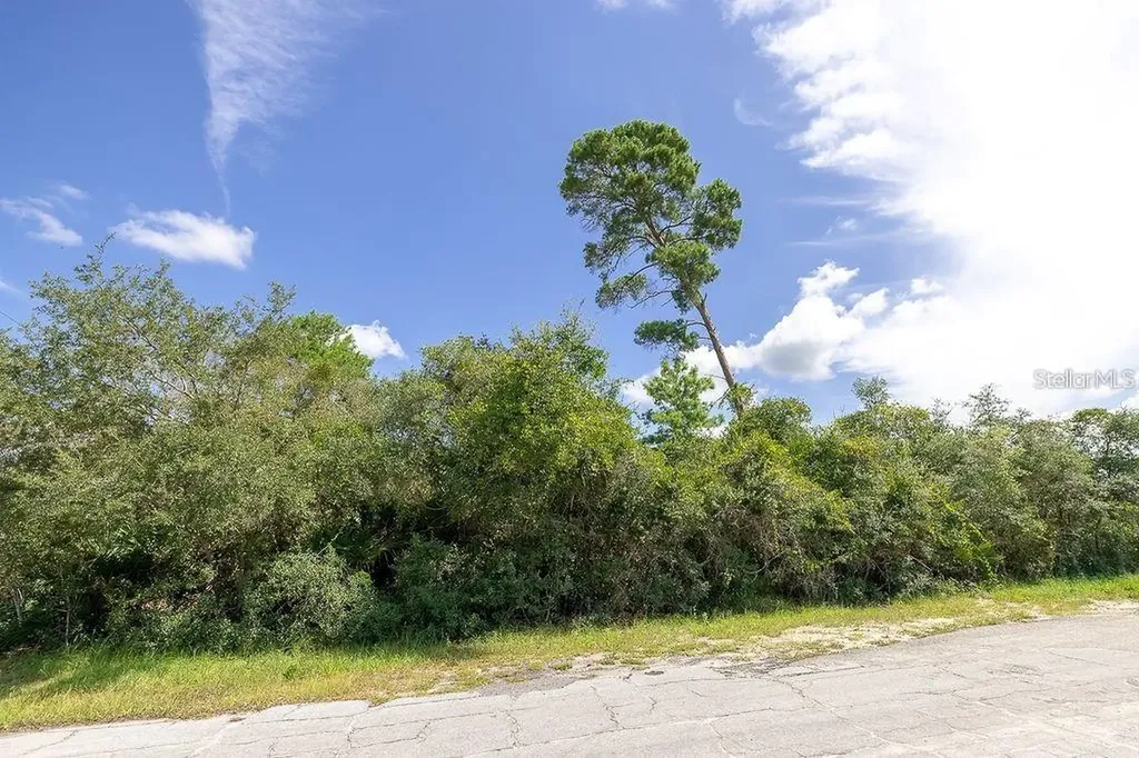 2361 Laredo Drive Deltona FL 32738