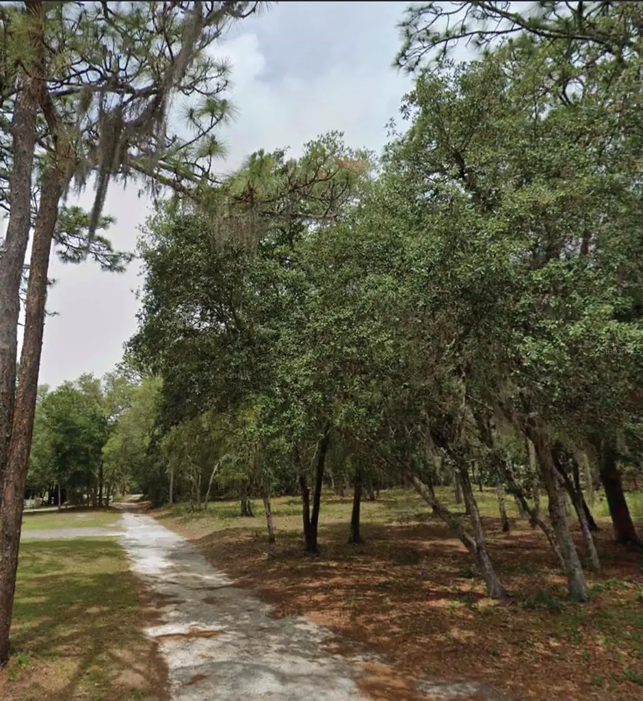 1163 E Canvas Lane Hernando FL 34442