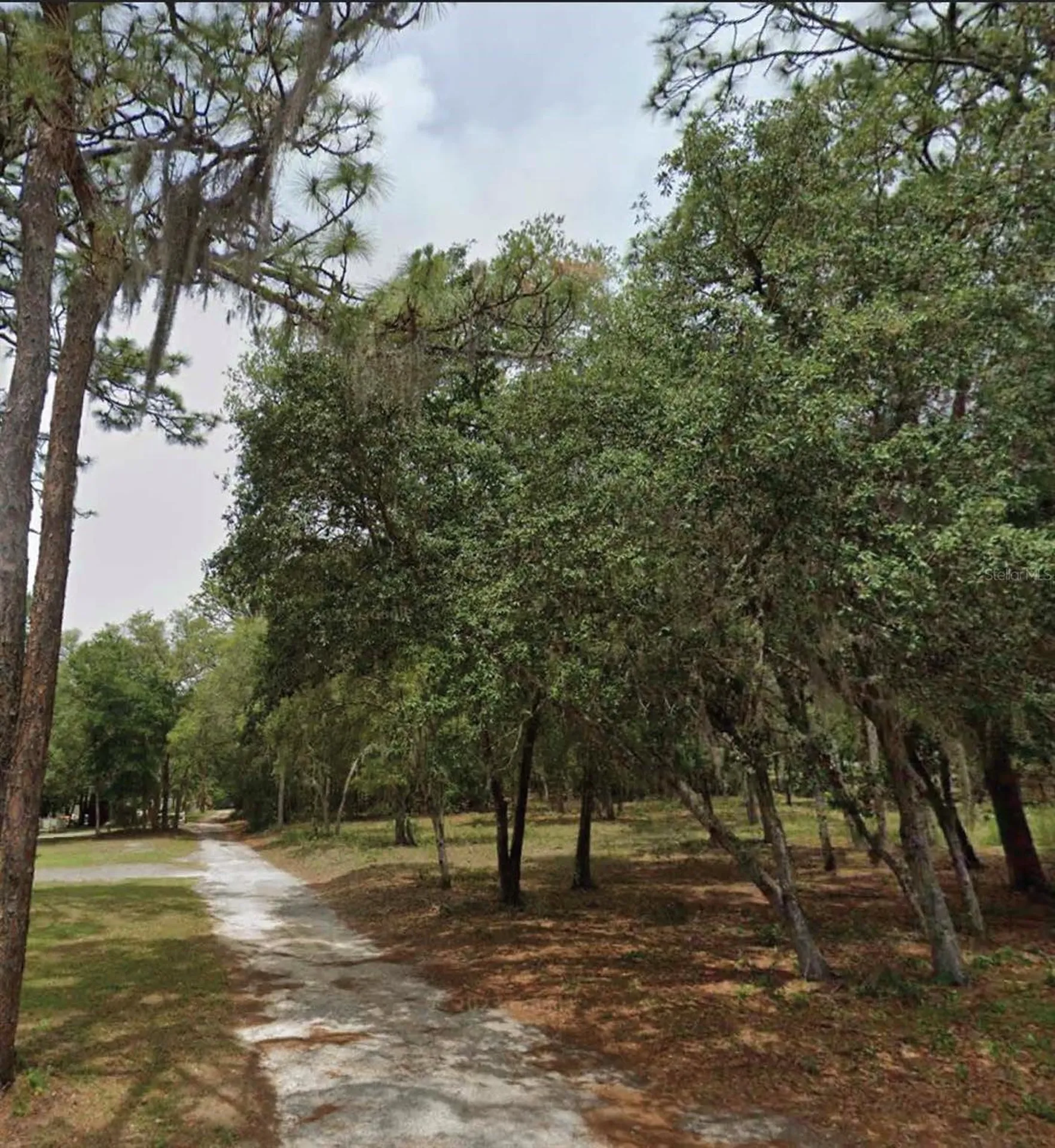 1163 E Canvas Lane Hernando FL 34442