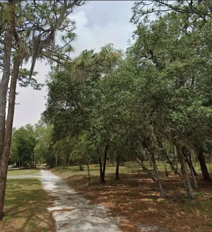 1163 E Canvas Lane Hernando FL 34442
