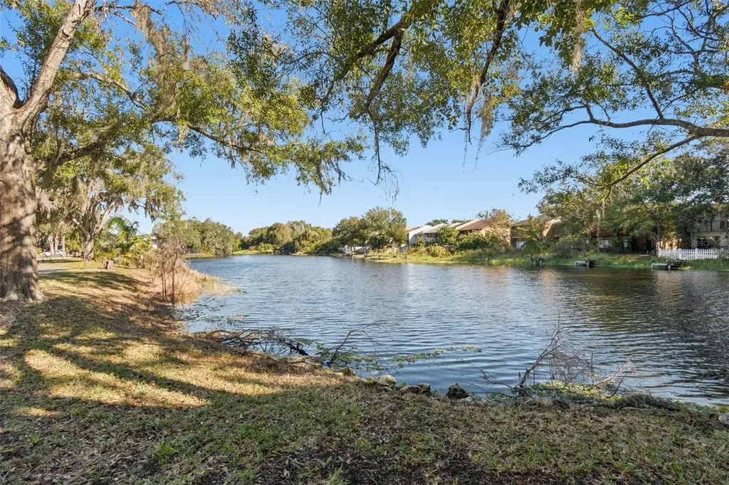7015 Waterside Drive Tampa FL 33617