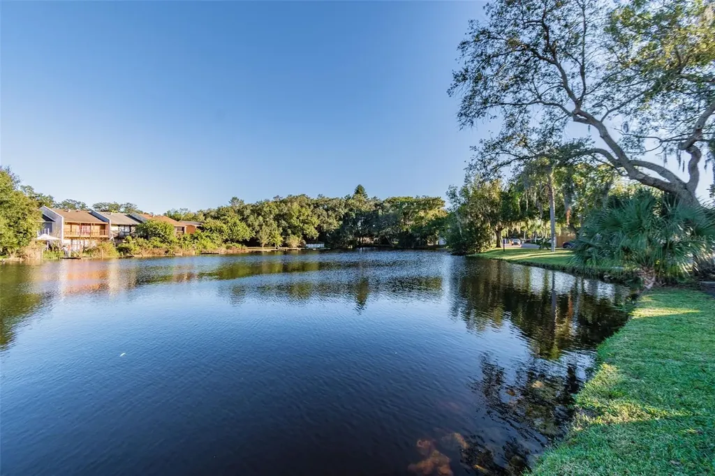 7015 Waterside Drive Tampa FL 33617