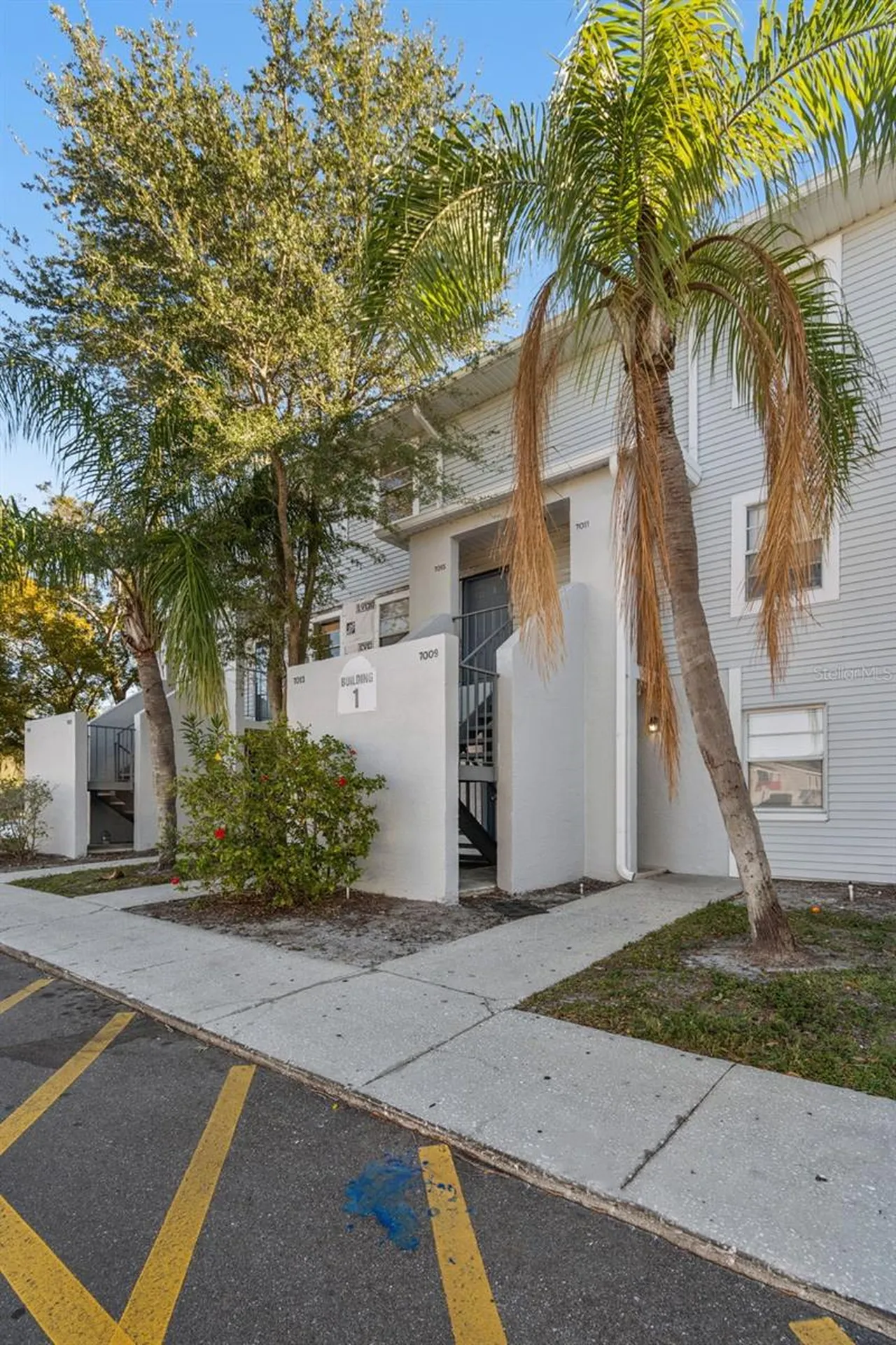 7015 Waterside Drive Tampa FL 33617