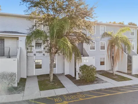 7015 Waterside Drive Tampa FL 33617
