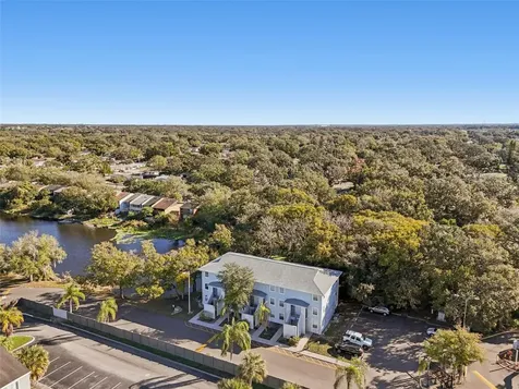 7015 Waterside Drive Tampa FL 33617