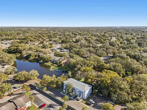 7015 Waterside Drive Tampa FL 33617