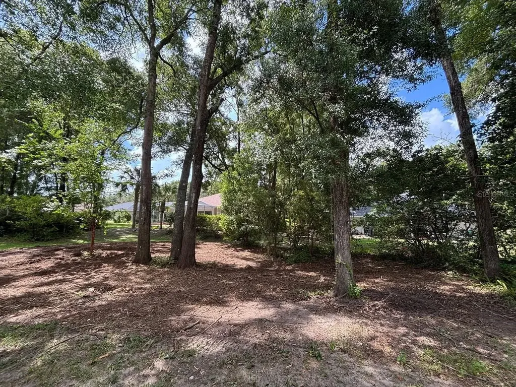 19396 SW 101st Place Road Dunnellon FL 34432
