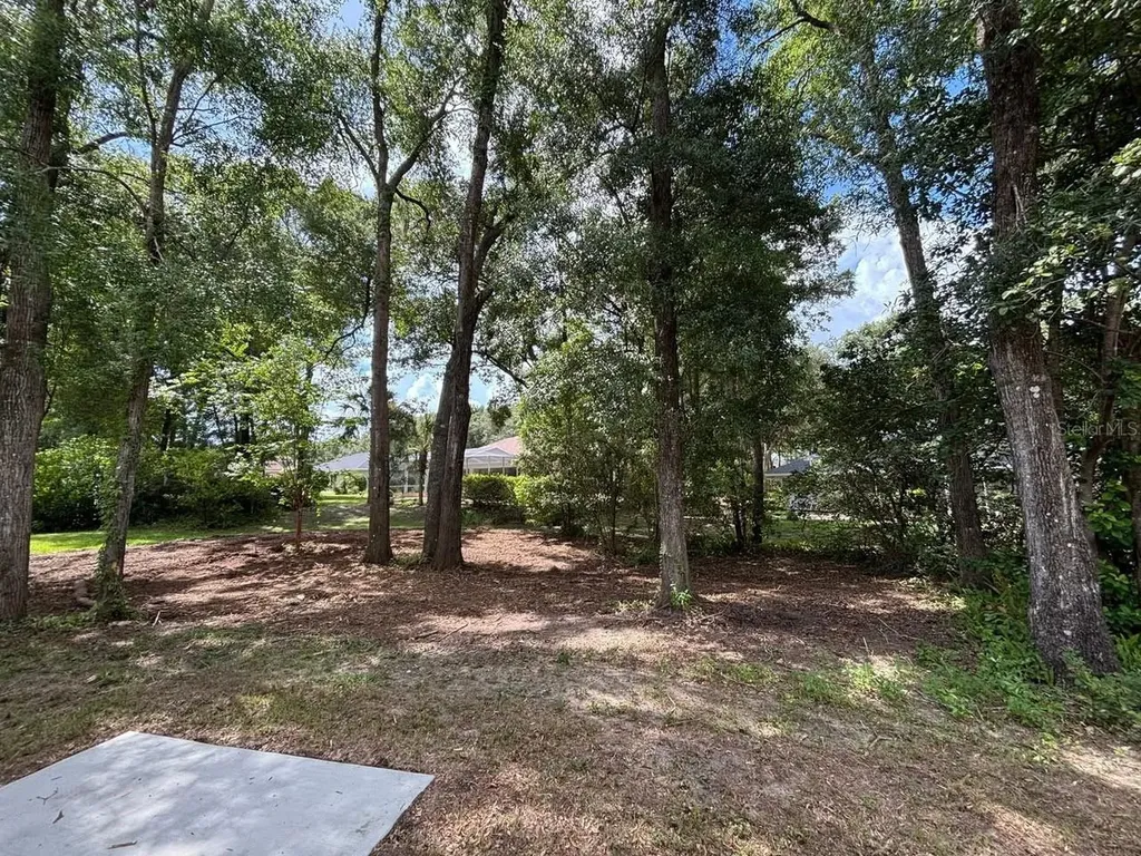 19396 SW 101st Place Road Dunnellon FL 34432