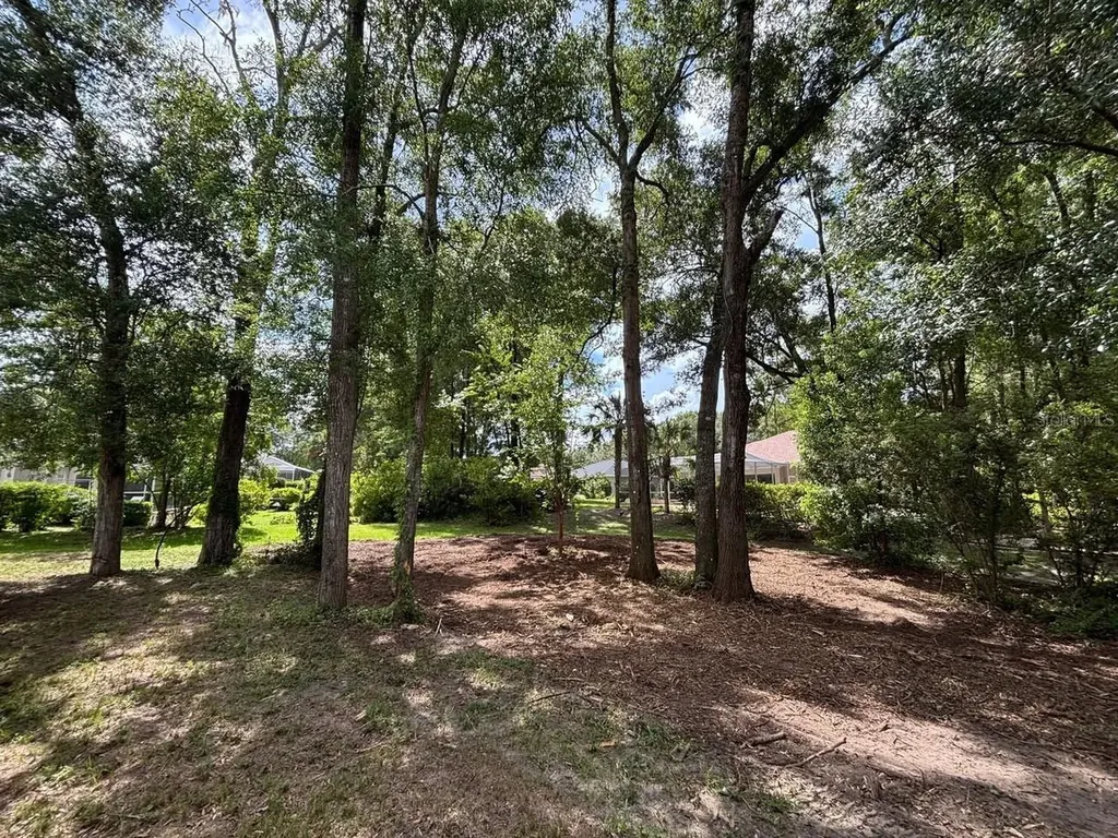 19396 SW 101st Place Road Dunnellon FL 34432