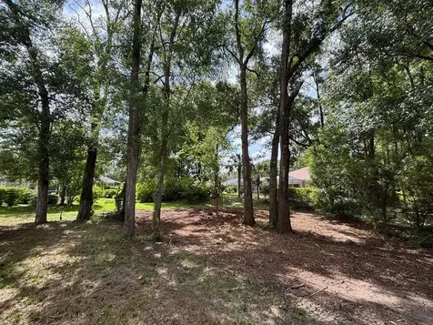 19396 SW 101st Place Road Dunnellon FL 34432