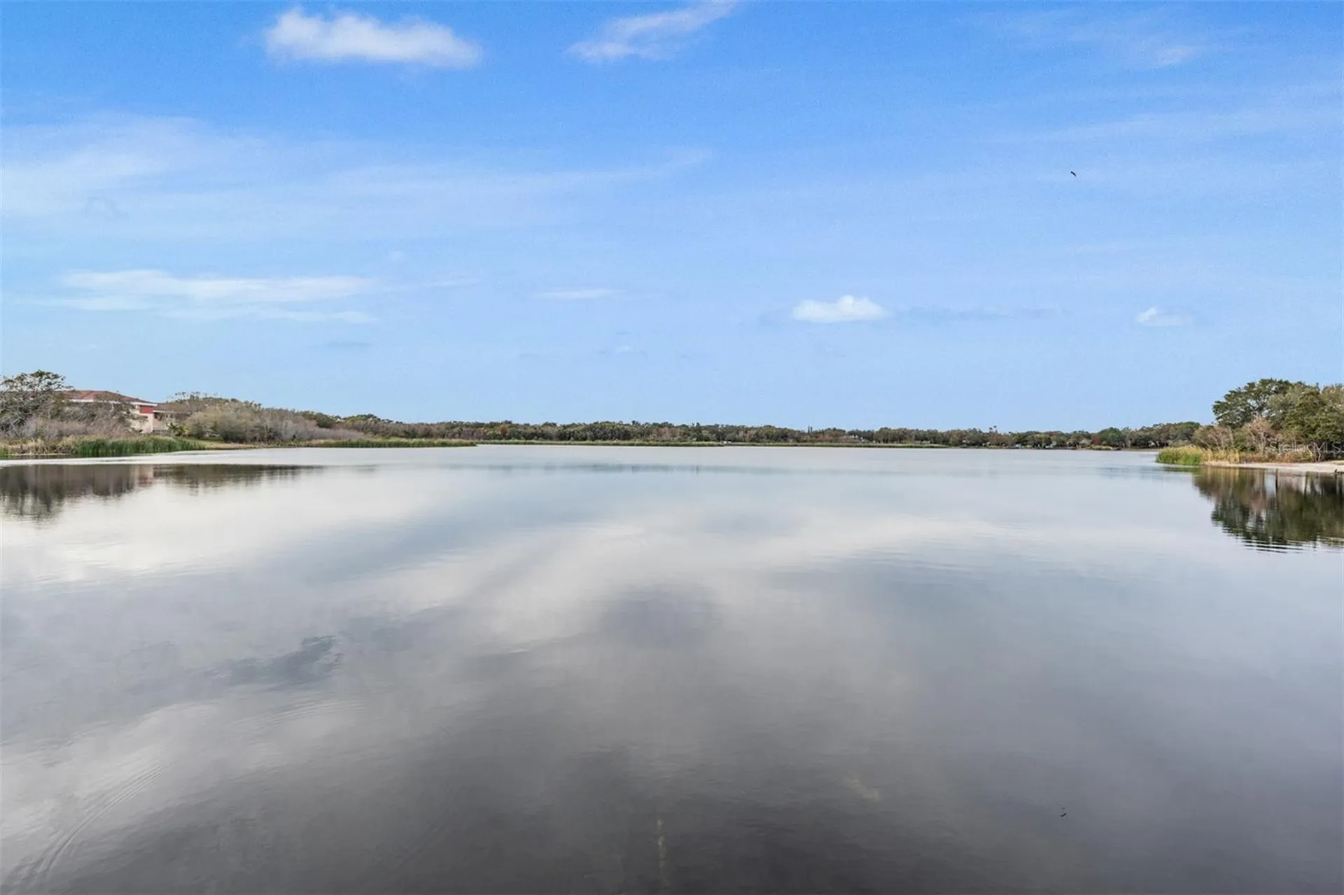2020 Lakeview Drive Clearwater FL 33763