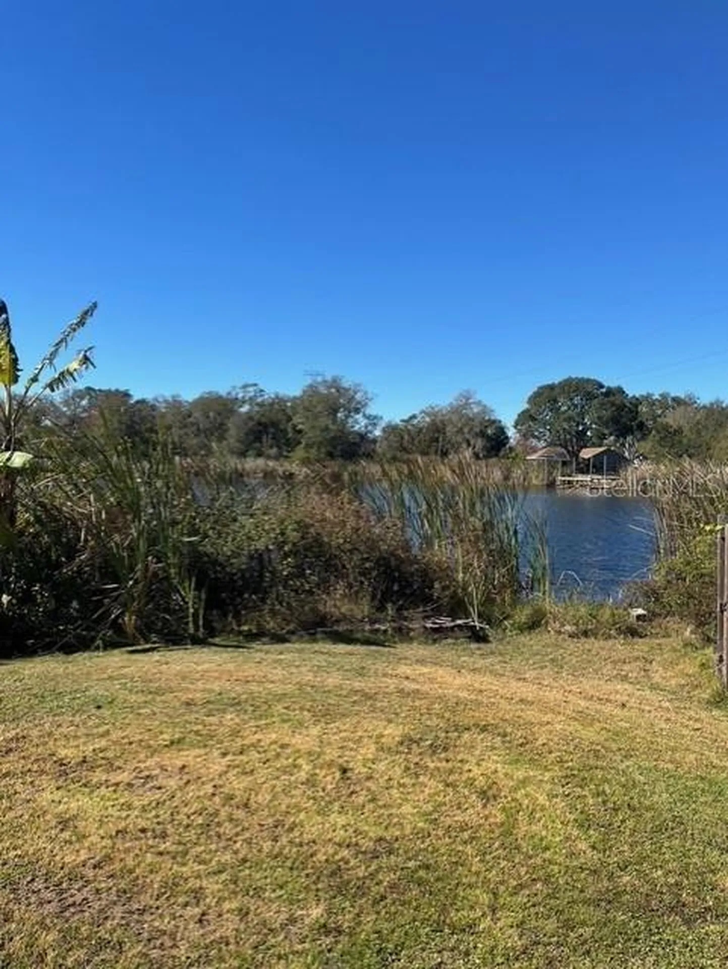 8841 S Mobley Road Odessa FL 33556