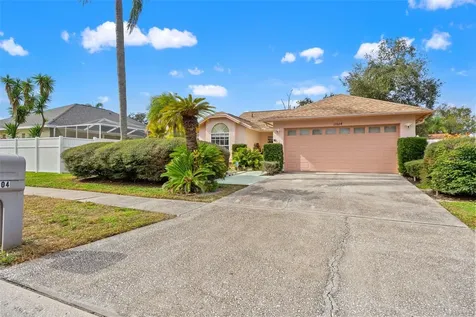 13504 Fawn Ridge Boulevard Tampa FL 33626