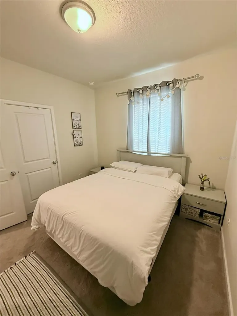 10923 Leafshore Loop Orlando FL 32829