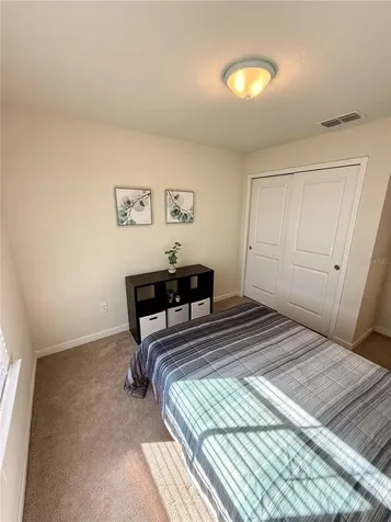 10923 Leafshore Loop Orlando FL 32829