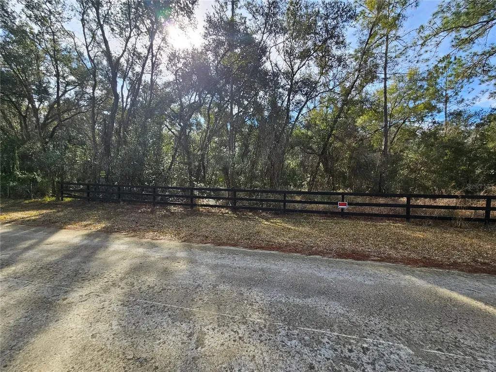 Rosehill Drive Webster FL 33597