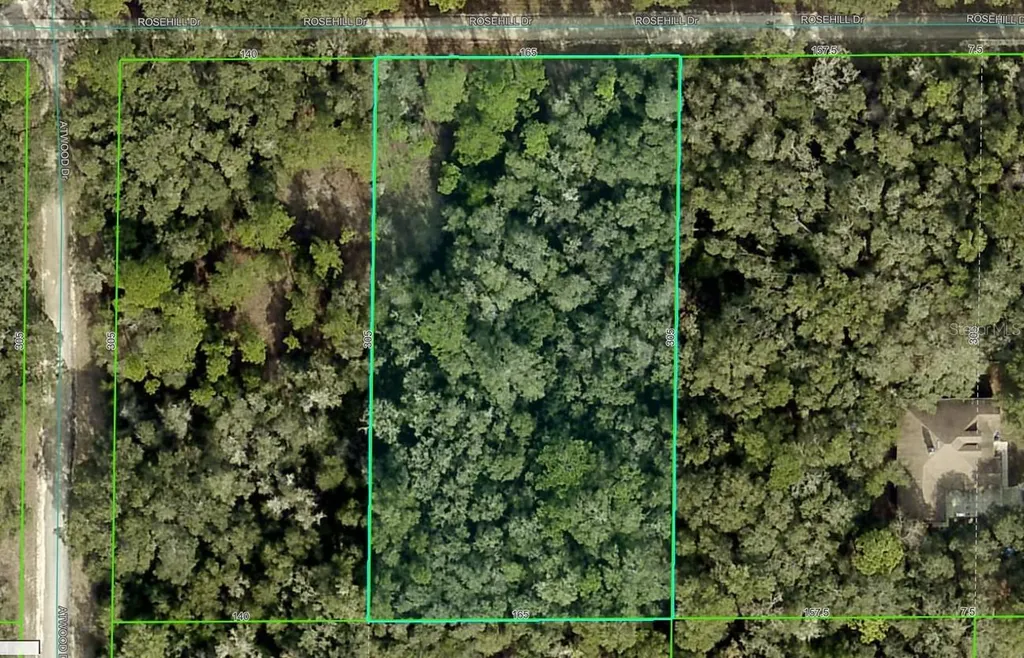 Rosehill Drive Webster FL 33597