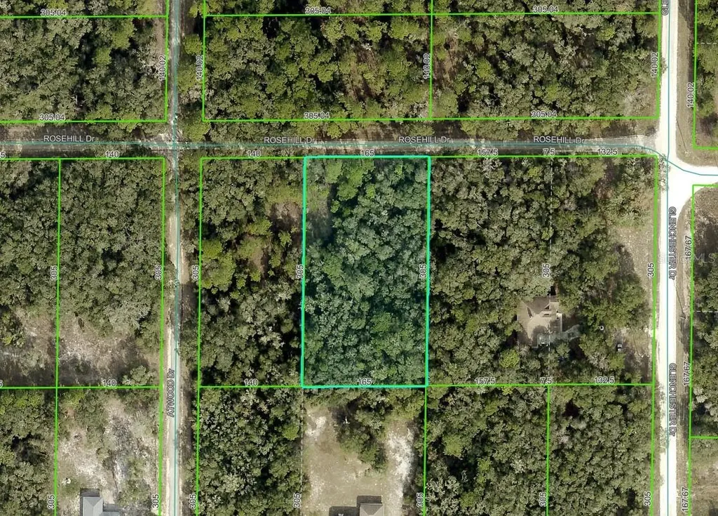 Rosehill Drive Webster FL 33597