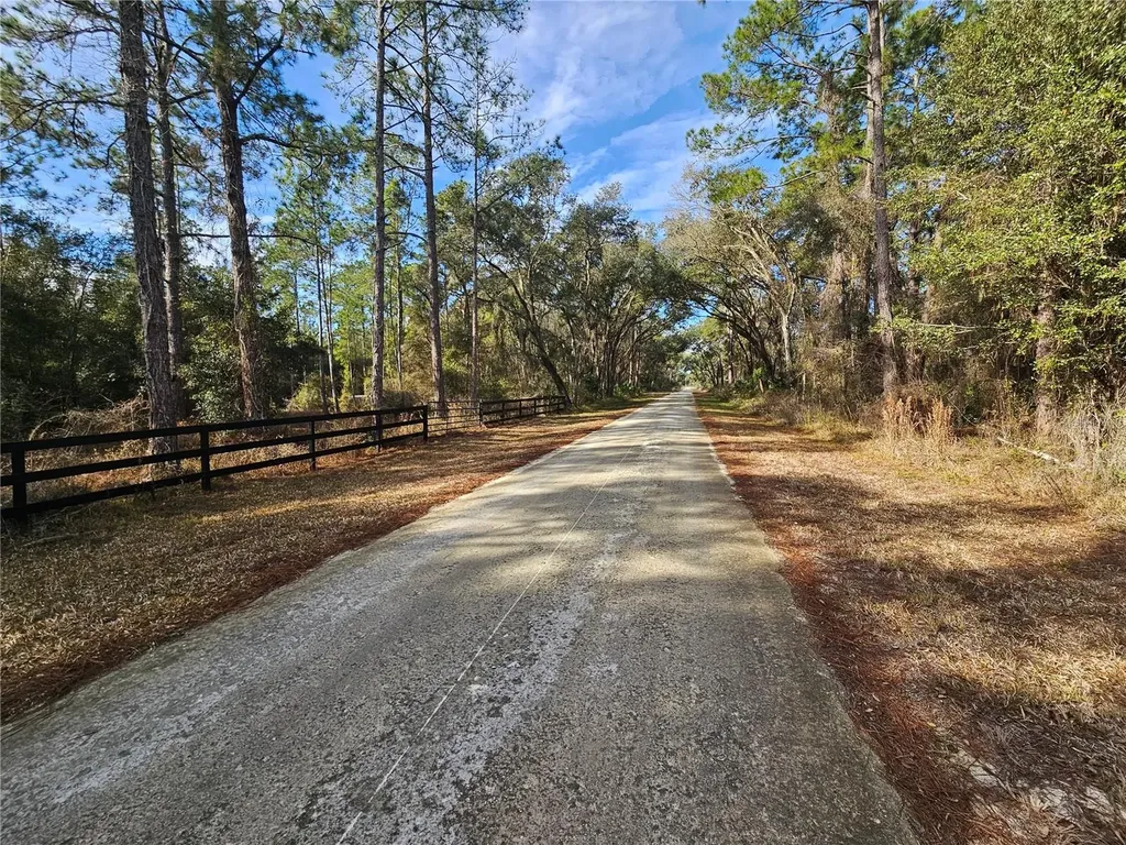 Rosehill Drive Webster FL 33597