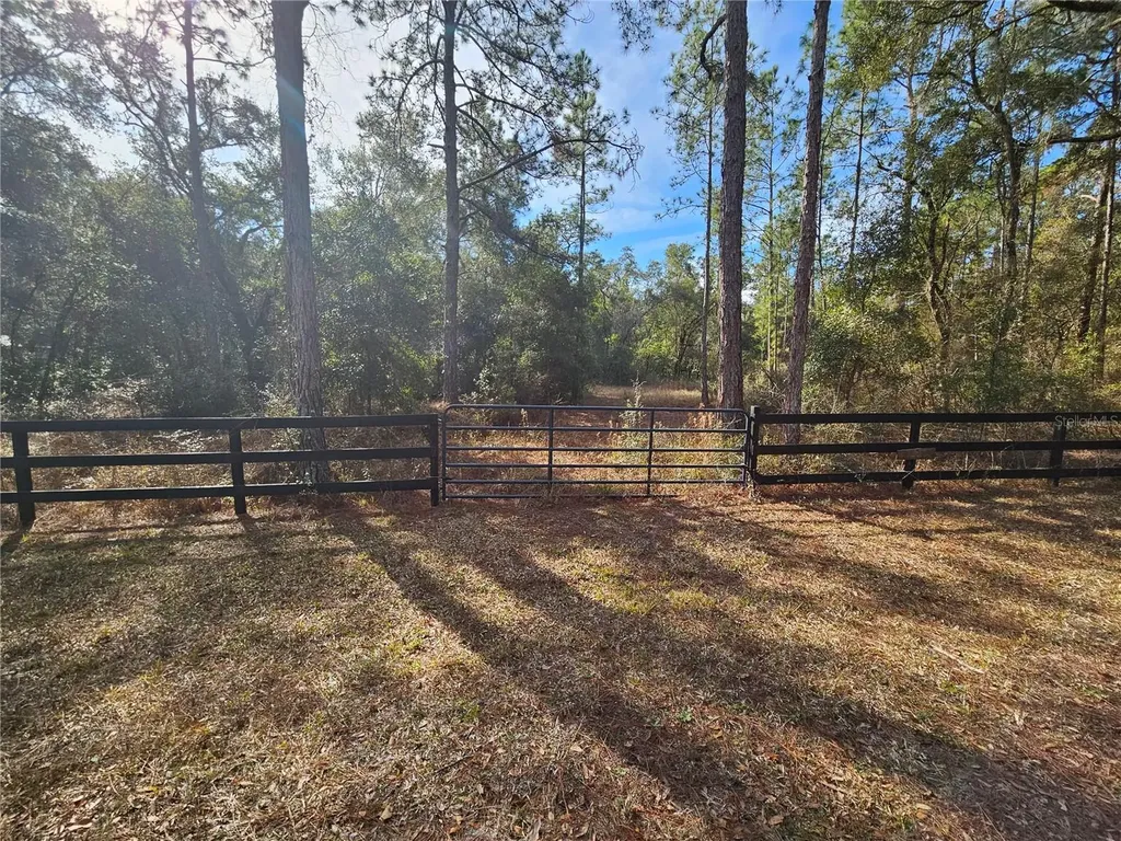 Rosehill Drive Webster FL 33597