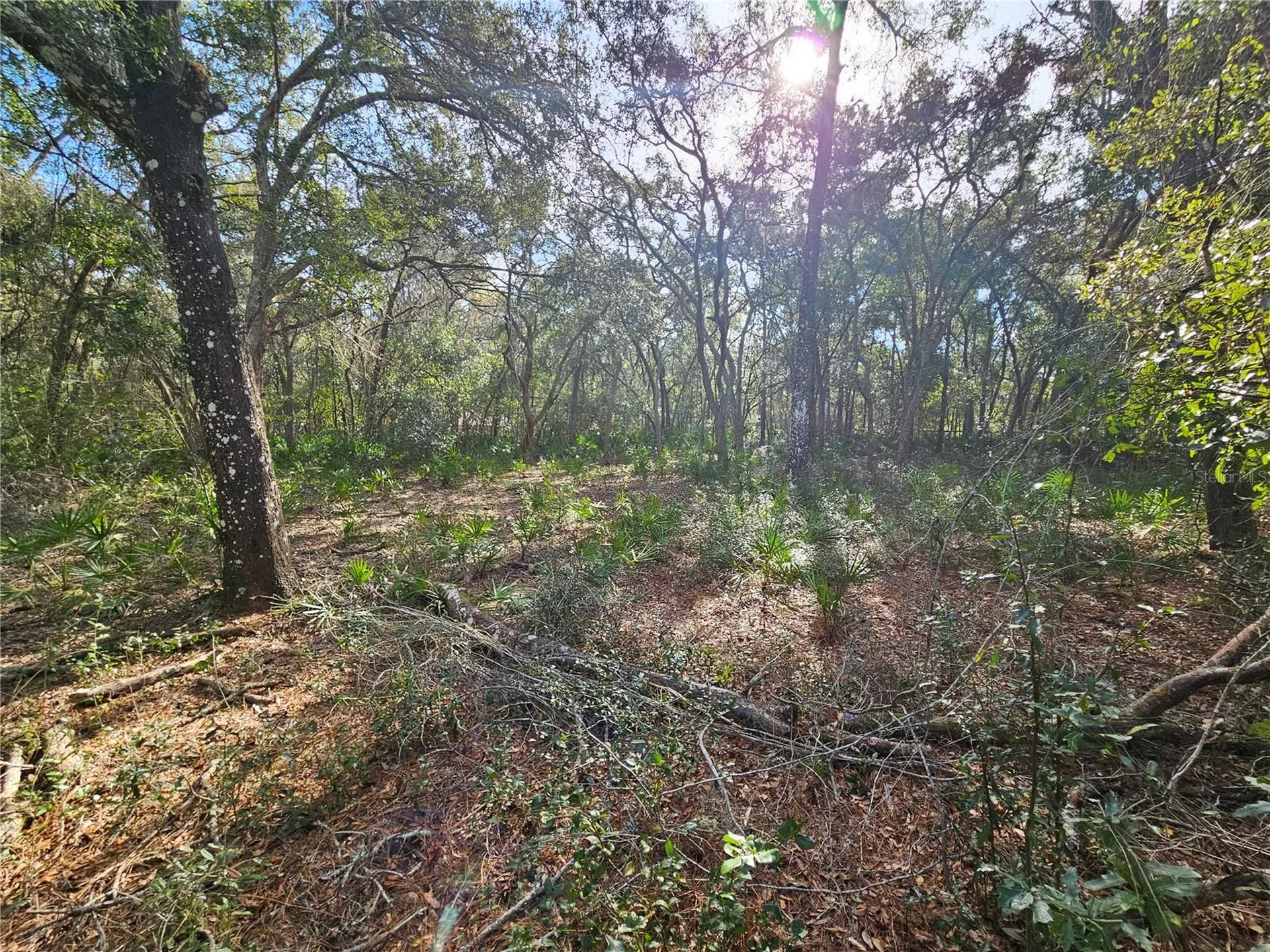 Rosehill Drive Webster FL 33597