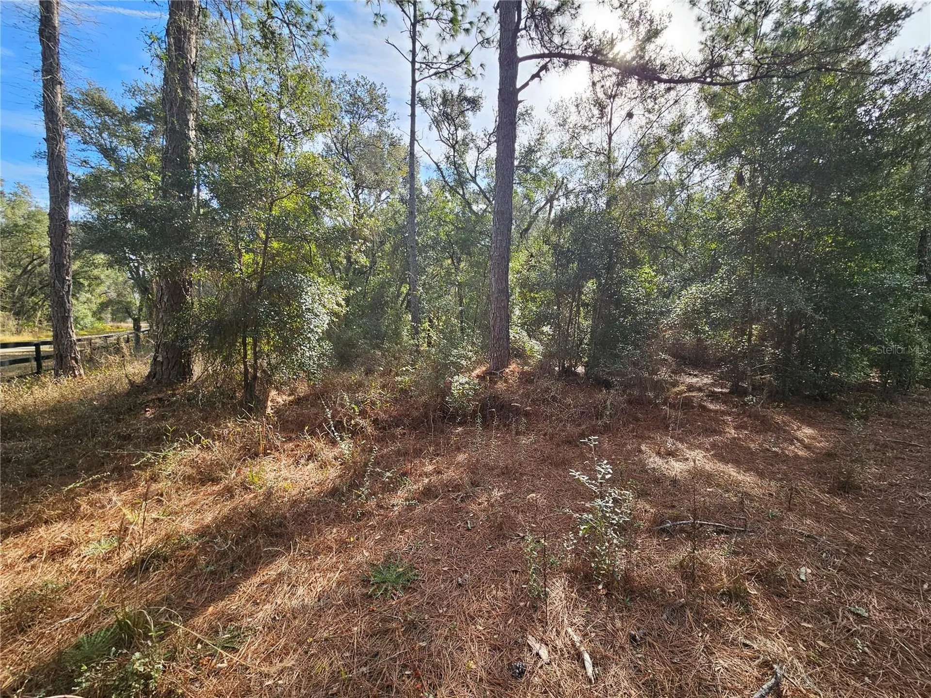 Rosehill Drive Webster FL 33597