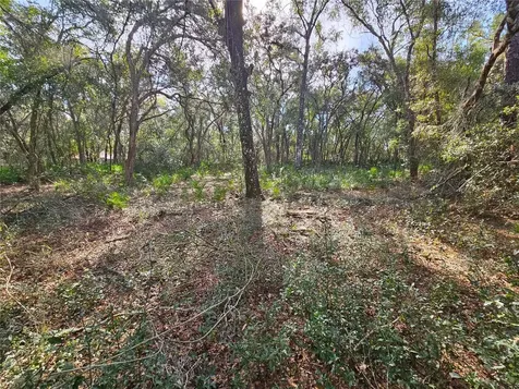 Rosehill Drive Webster FL 33597