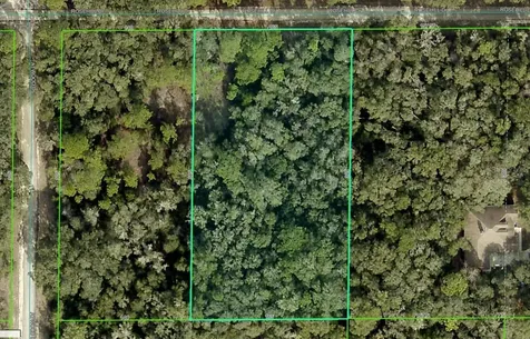 Rosehill Drive Webster FL 33597