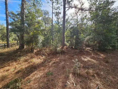 Rosehill Drive Webster FL 33597