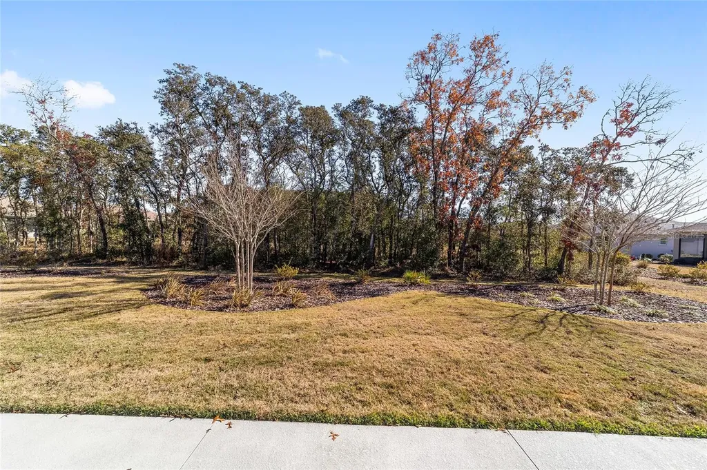9065 SW 106th Avenue Ocala FL 34481
