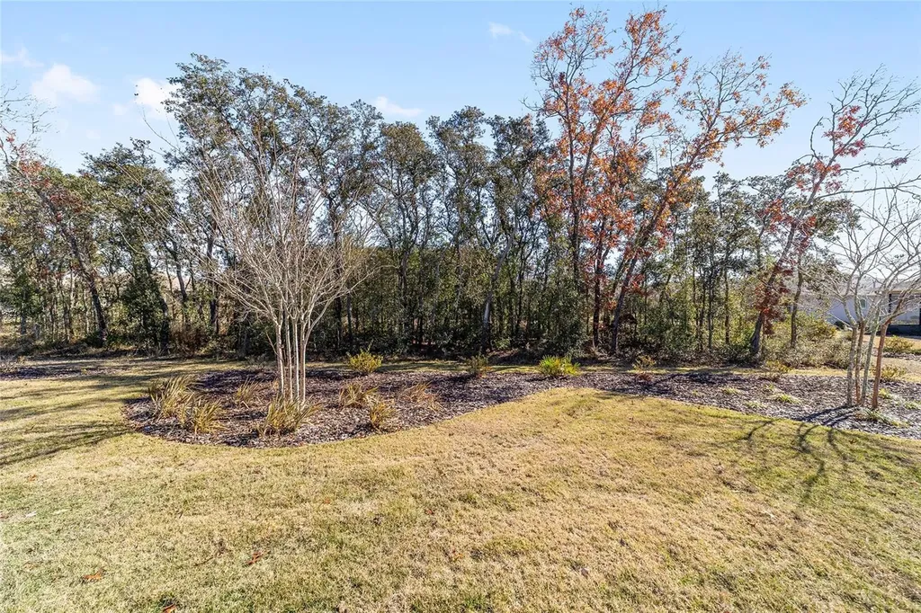 9065 SW 106th Avenue Ocala FL 34481