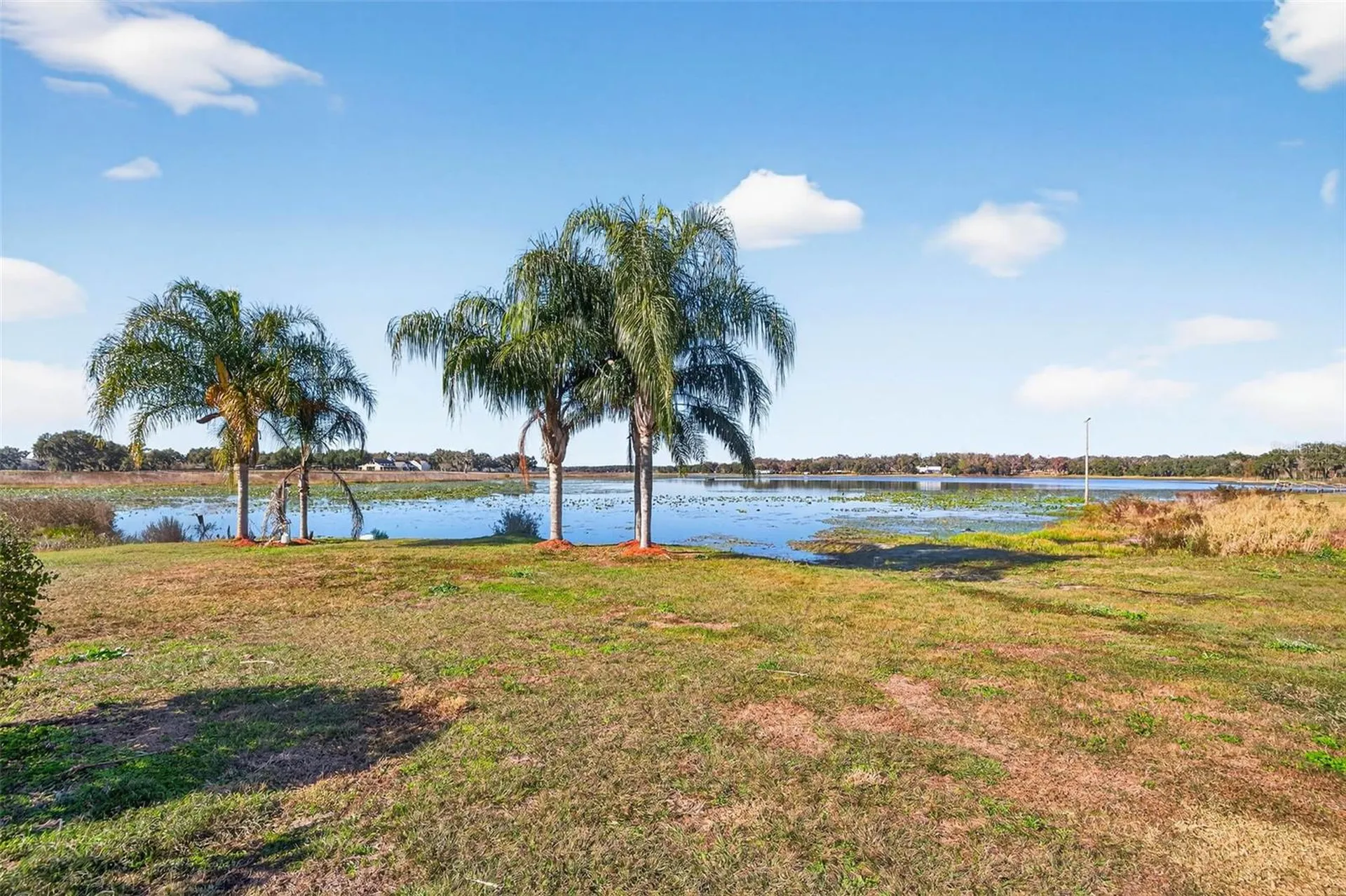 36649 Covington Road Dade City FL 33525