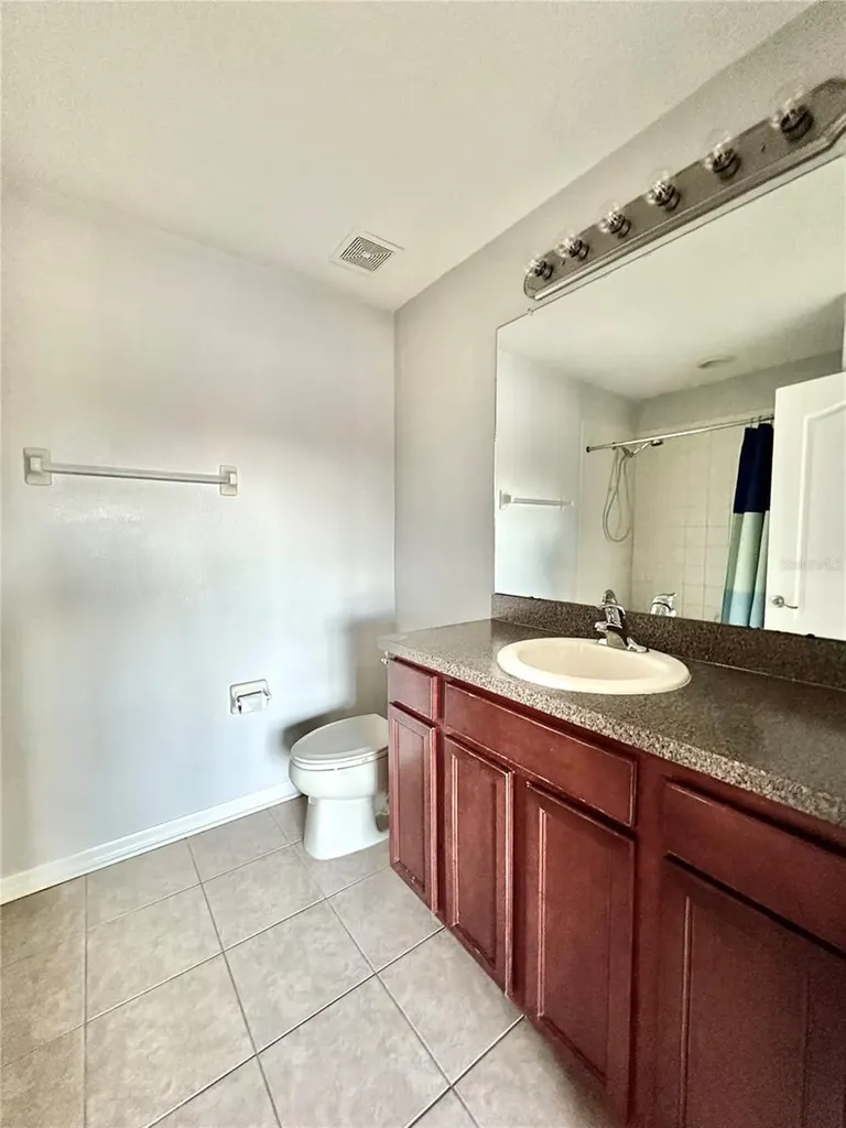 6950 Towering Spruce Drive Riverview FL 33578