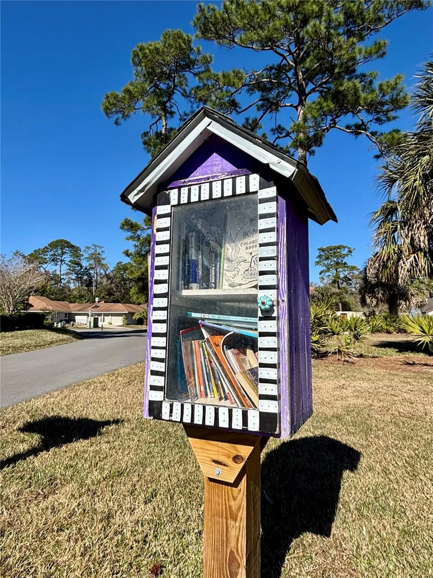13058 Bent Pine Court E Jacksonville FL 32246