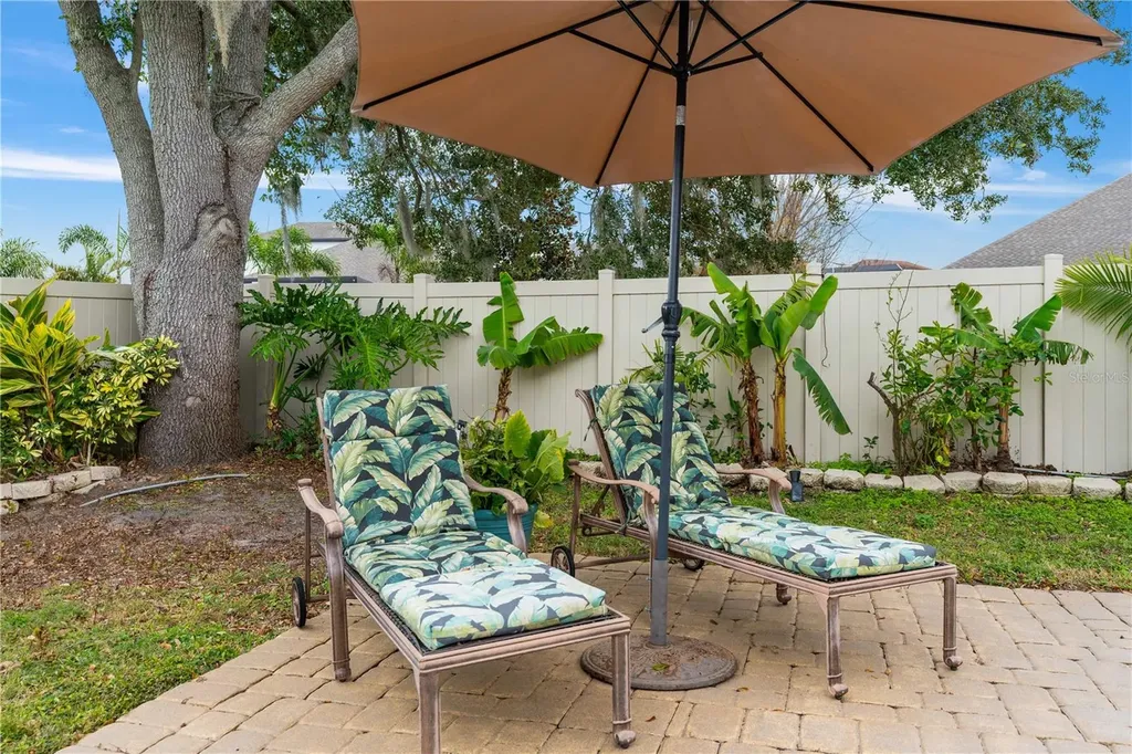 16669 Varone Cove Court Winter Garden FL 34787