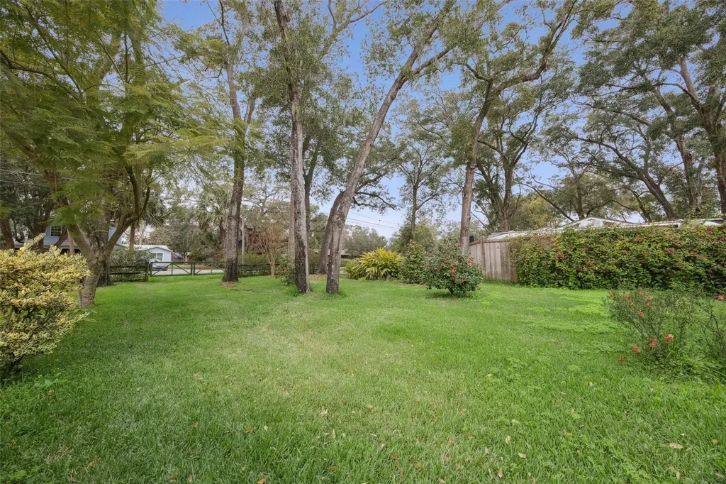 30904 Deal Drive Sorrento FL 32776