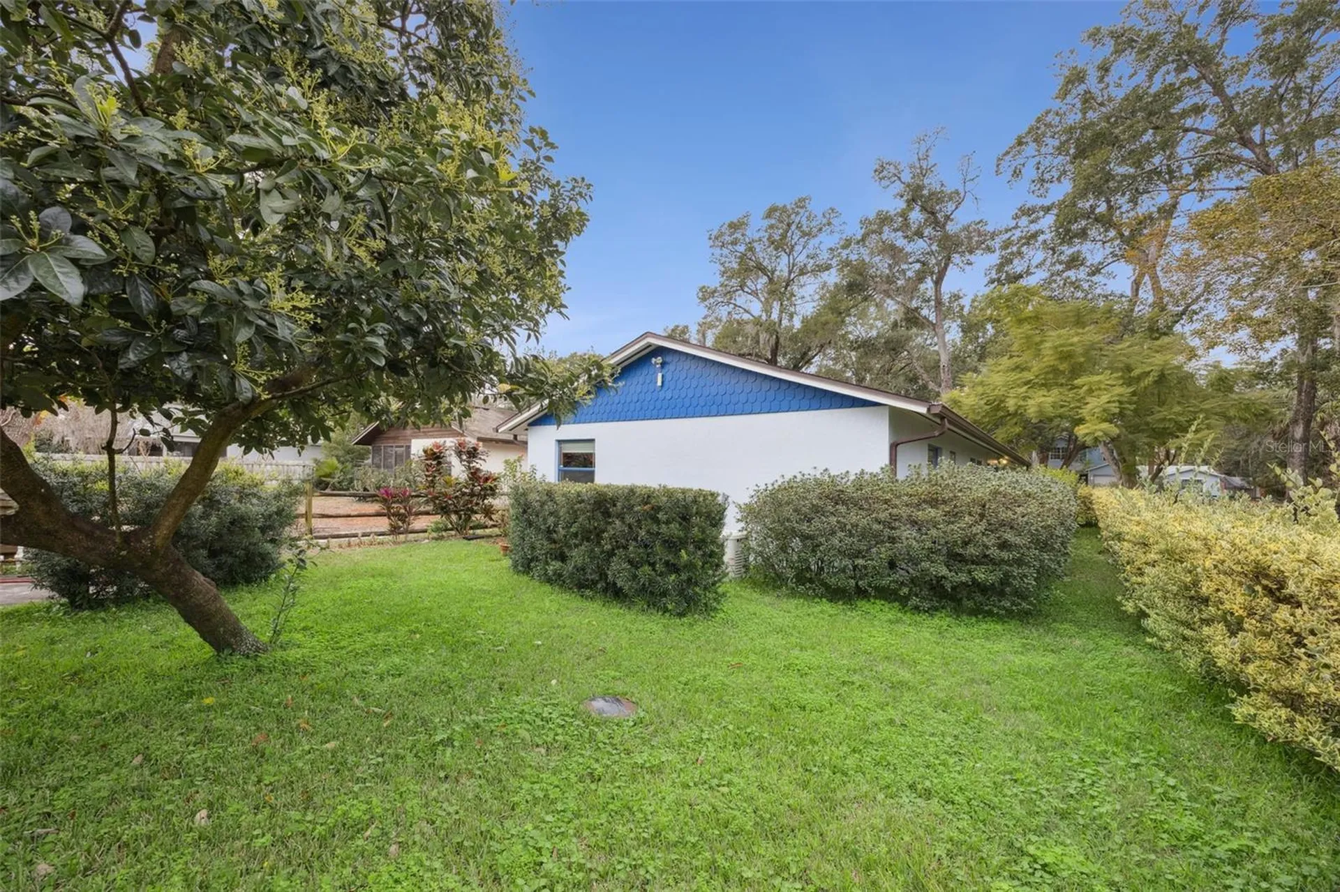 30904 Deal Drive Sorrento FL 32776