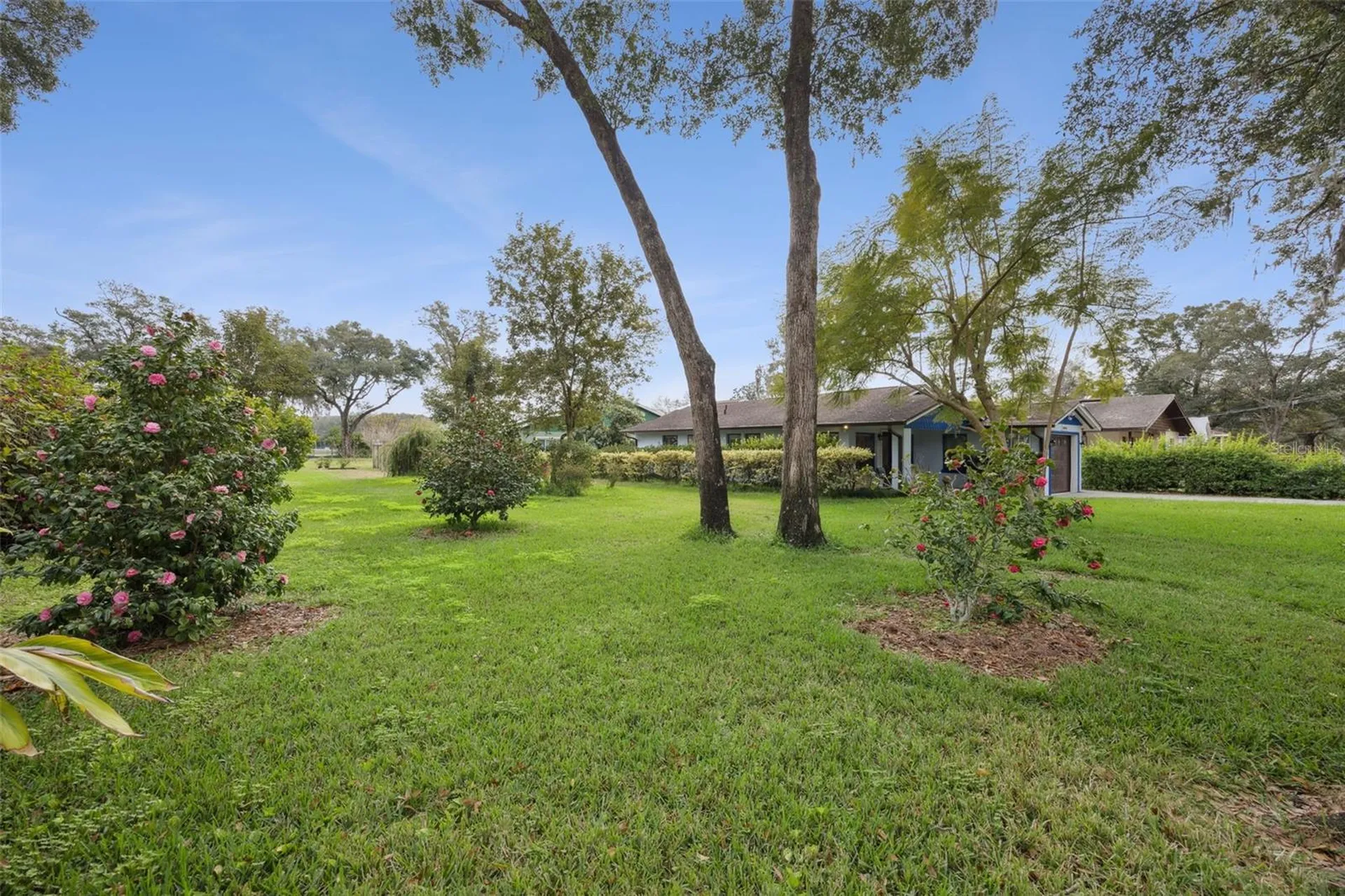 30904 Deal Drive Sorrento FL 32776